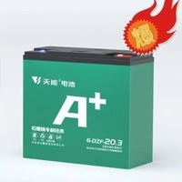 天能 石墨烯铅酸蓄电池