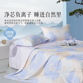 水星家纺 百丽丝A类可水洗夏凉被 茶氨酸抗菌 200cm*230cm