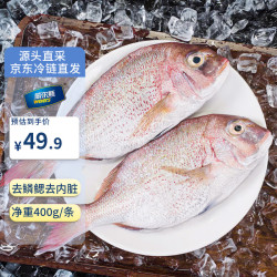 威尔斯 国产三去真鲷鱼 400g/条
