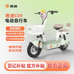 雅迪 C09-G 智能电动车 C09 48V 21ah