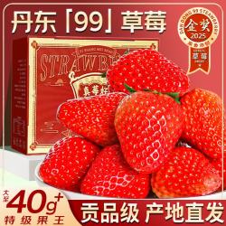 静羽 丹东红颜草莓 3斤 30-40g/单果
