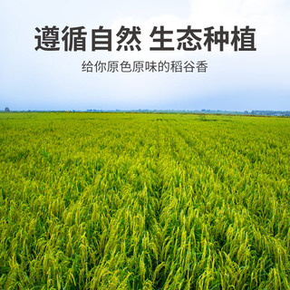 方家铺子 南瓜小米粥 500g 罐装