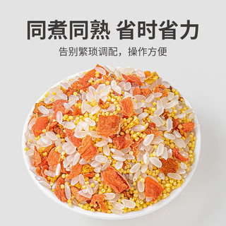 方家铺子 南瓜小米粥 500g 罐装