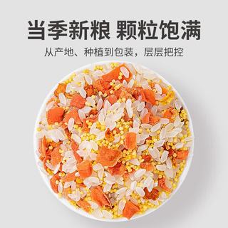 方家铺子 南瓜小米粥 500g 罐装