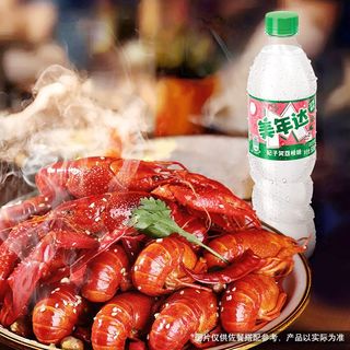 美年达 妃子笑荔枝味 500ml*24瓶 碳酸饮料