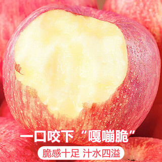 京地达 烟台红富士苹果 单果80mm+ 净重5斤