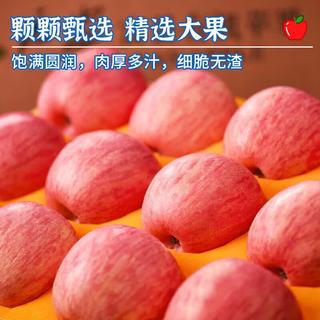 京地达 烟台红富士苹果 单果80mm+ 净重5斤