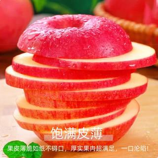 京地达 烟台红富士苹果 单果80mm+ 净重5斤