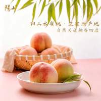 阳山 水蜜桃 3-4两12枚 净重3.6斤+（礼盒装）