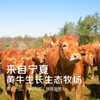京觅 宁夏黄牛肉 原切谷饲牛腿肉 2.5kg