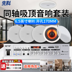 先科 蓝牙音箱吸顶音响店铺家用6.5英寸功放无线蓝牙客厅音箱