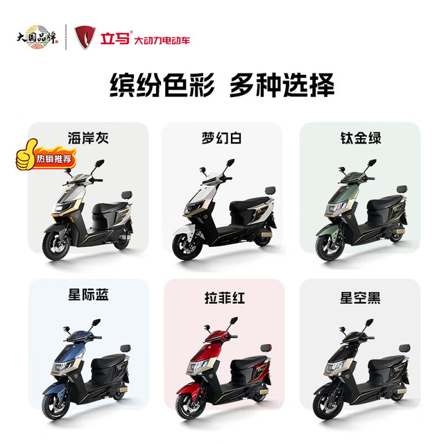 今日必买：立马电动车 立马电动摩托车极昂100公里长续航电动车1500W电机 96V20Ah铅酸电池前后碟刹 梦幻白