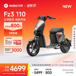 九号 FZ3 110 电动自行车 门店自提