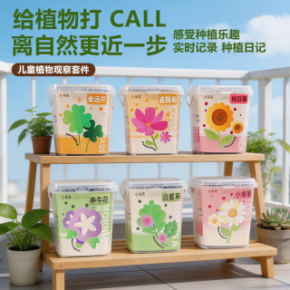 小花农 儿童果蔬植物观察种植小盆栽实验套装