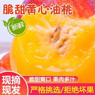 生活＆好管家 限时1小时！山西油桃 净重4.5斤 单果60g+