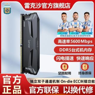 百亿补贴：雷克沙 DDR5台式机运行5600马甲内存条16GB散热双通道内存条