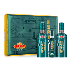 迎驾贡酒 迎驾洞藏9 50度 浓香型白酒 520ml*2瓶+125ml 礼盒装