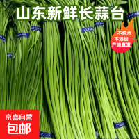 周四白菜日、值友专享：爆款直降限时秒杀，好物清单速览→