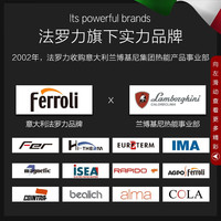 法罗力 BLUEHELIXTECHRRT24C 全预混冷凝 24KW 燃气壁挂炉