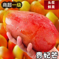 闽农语果 国产贵妃芒果 2.5斤