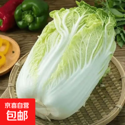 东东 云南高原大白菜 9斤净重