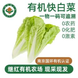 有机大白菜新鲜南京继红农场快白菜速生杭白菜蔬菜配送应季当季 3公斤 有机快白菜