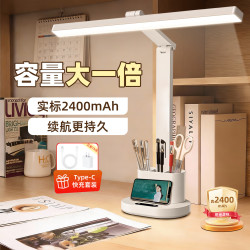 心有所属 护眼台灯大学生宿舍充电超长续航学习专用大容量笔筒led阅读写灯