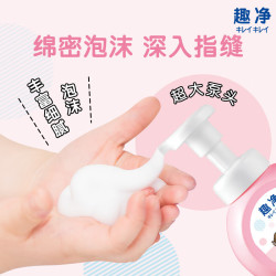 狮王 原装进口趣净泡沫洗手液 青芒香+西秞香200ml*6袋 组合装