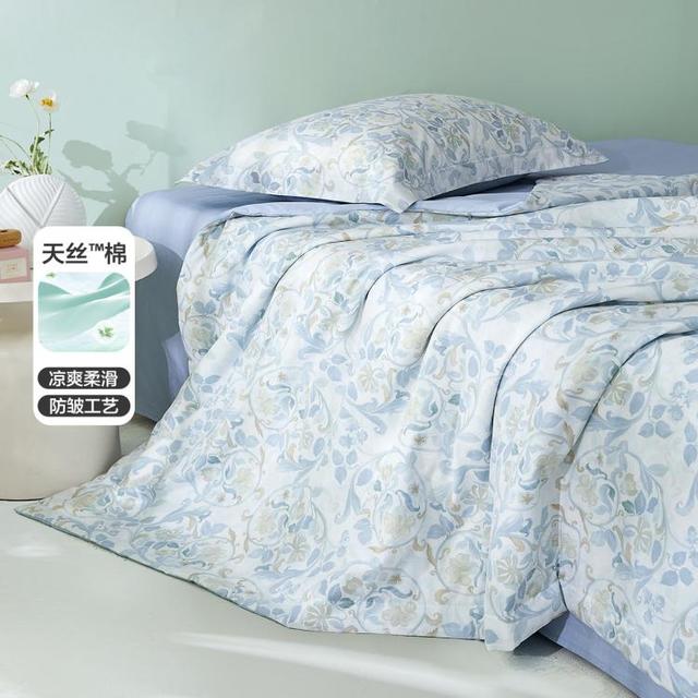 水星家纺 夏凉被 莱赛尔天丝棉 艾草填充薄被褥空调被 230*229cm