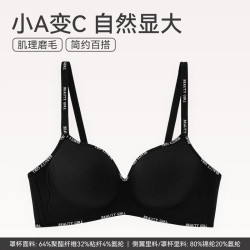 芬腾 1173 舒适聚拢防下垂收副乳透气无钢圈文胸 五折