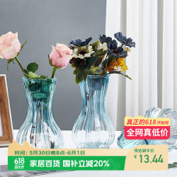 盛世泰堡 玻璃花瓶透明植物插花瓶水培客厅摆件彩色渐变蓝蒜头