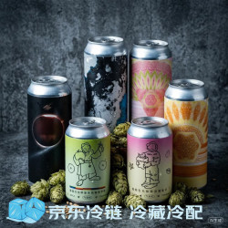 纸飞机酿造 啤酒组合装 洋流上下+临界+粉啵+橘啵+杨桃芭乐+苹果铁观音