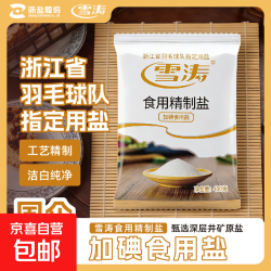 雪涛 精制盐 400g 井矿盐 调味品
