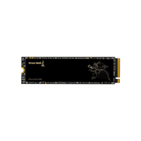 长城GT50 1TB M.2固态硬盘SSD台式机笔记本硬盘NVMe PCIe4.0
