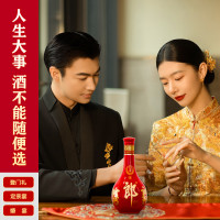 郎酒 红花郎10礼盒 酱香型白酒 53度 500mL 2瓶 红十礼盒装