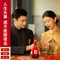 郎酒 红花郎10礼盒 酱香型白酒 53度 500mL 2瓶 红十礼盒装