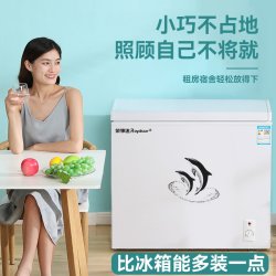 荣事达 336L/396升大冰柜家商用大容量冷藏冷冻两用柜卧式158
