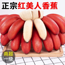 甘贤 海南红香蕉 8斤 精美礼盒装