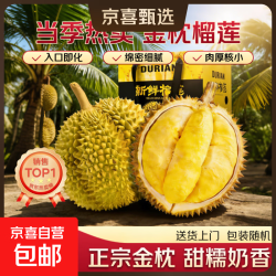 从泰国顺丰包邮泰国金枕榴莲整果应季新鲜生鲜水果 金枕巨无霸果王（净重12-15斤）保4房
