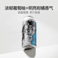 纸飞机酿造 纸飞机 酿造 TDH 艾尔啤酒 473ml*4 精酿IPA