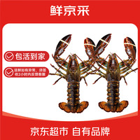折82元/只、今日必买：御鲜之王 鲜活大龙虾 单只450-550g 2只