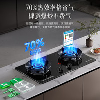 荣事达 JZT-S51B 5.2kW大火力 天然气 双灶燃气灶