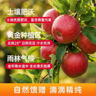 TUREFRUITMEKOL 100%苹果汁 125ml*12盒