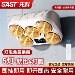 先科 壁挂式浴霸灯泡取暖挂墙挂壁卫生间浴室家用暖灯免打孔