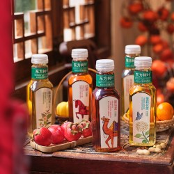 农夫山泉 东方树叶茉莉花茶青柑普洱无糖茶饮料500*9瓶