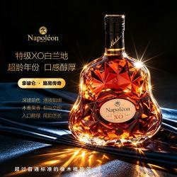 麦赫伦 法国原装 XO白兰地 40%vol 700mL 礼盒装