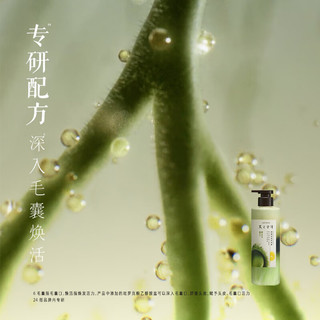 发之食谱 茶柚护发素 530g