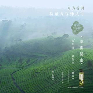发之食谱 茶柚护发素 530g
