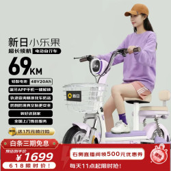 新日 小乐果 电动自行车 48V20A