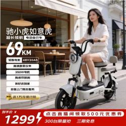 驰小虎 如意虎 电动自行车 48V20Ah电池